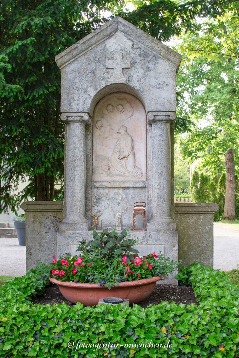 Pfanzelt Martin