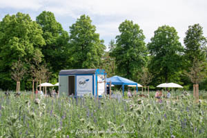 Gerhard Willhalm – Cafe Himmelblau