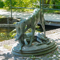 Spielende Hunde – Foto aus München