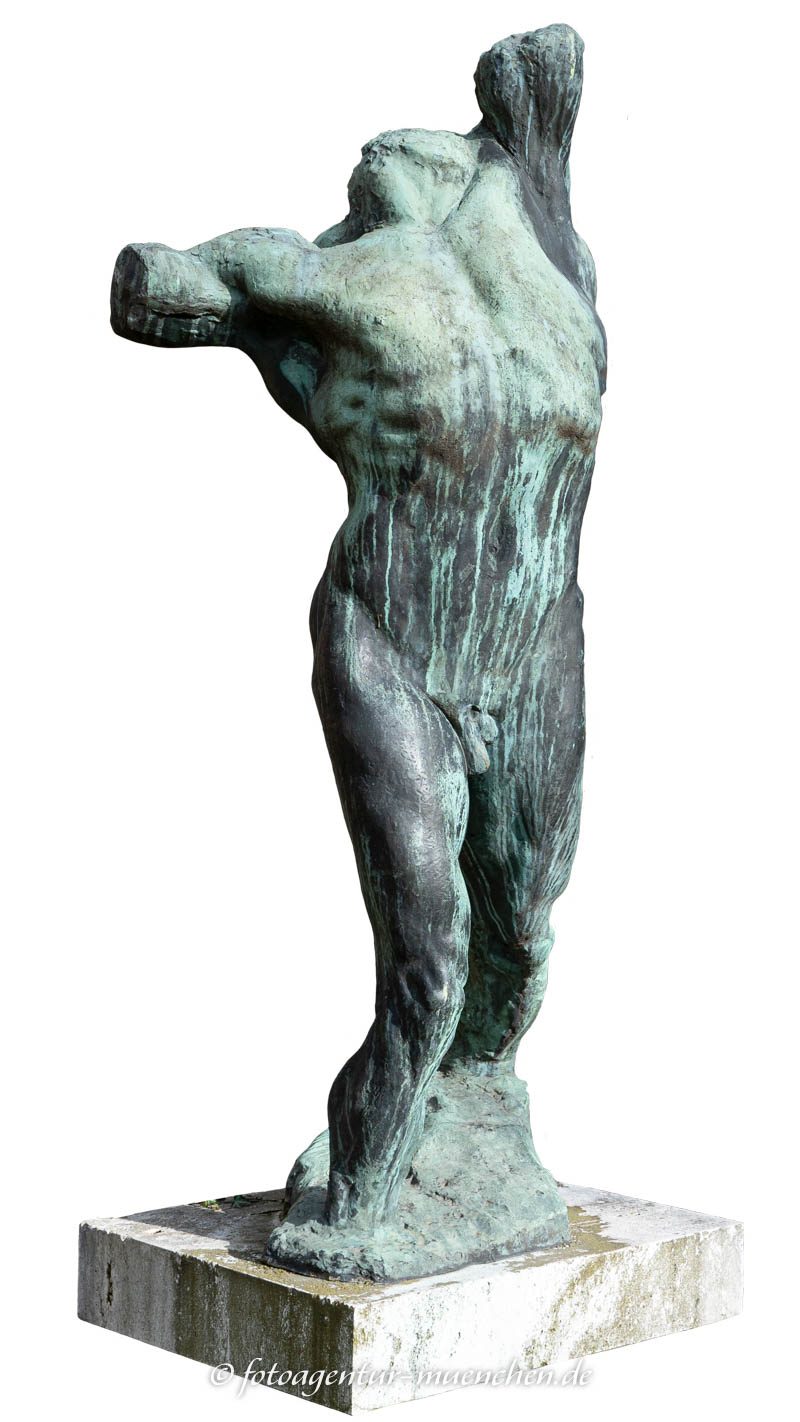 Männlicher Torso