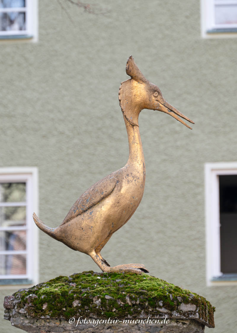 Haubentauscher