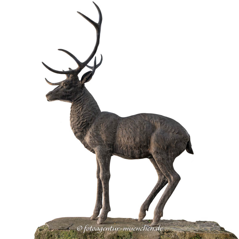 Elch und Hirsch