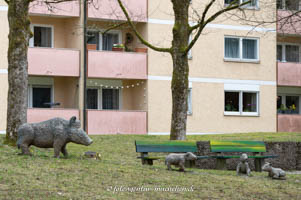 Wildschweine – Foto aus München