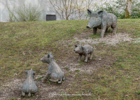 Wildschweine – Foto aus München