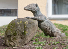 Otter – Foto aus München