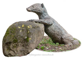 Otter – Foto aus München