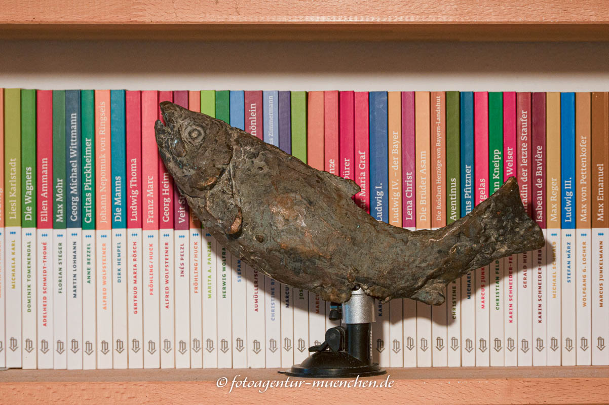 Fisch im Regal