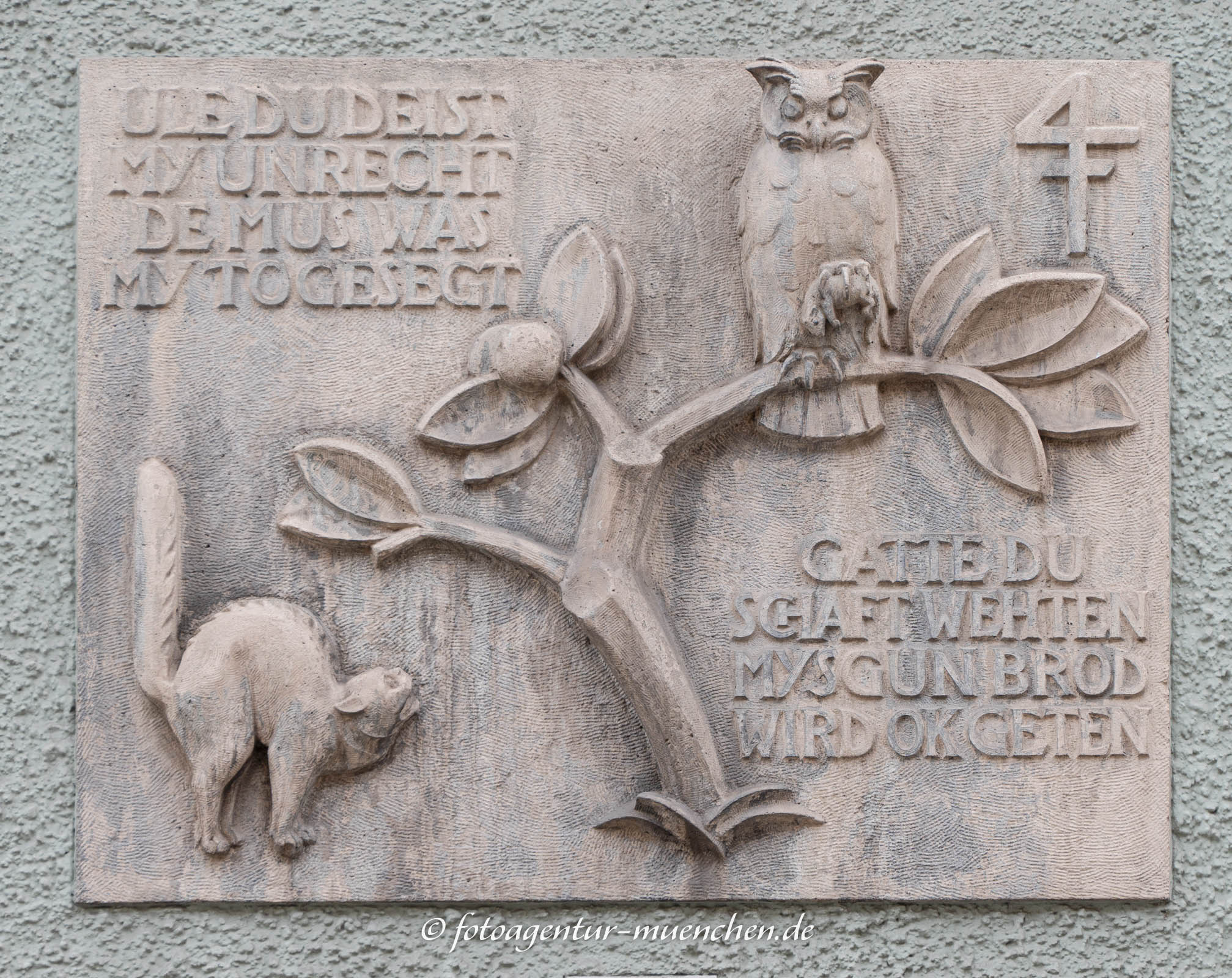 Katze und Eule