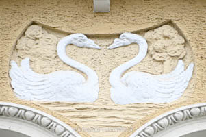 Schwan - Jugendstil – Foto aus München