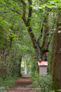 Kreuzweg - Berg am Laim – Foto aus München