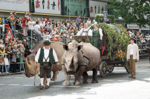 Wirteeinzug - Nashorn – Foto aus München