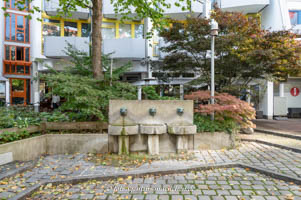 Löwenbrunnen – Foto aus München
