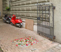 Stolpersteine – Foto aus München