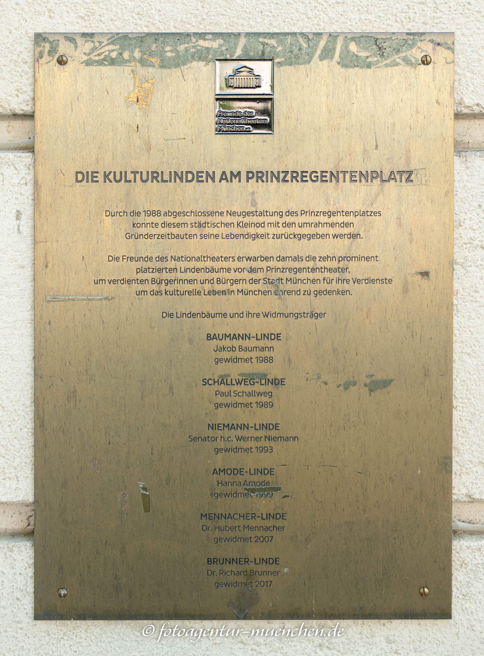 Die Kulturlinden am Prinzregentenplatz