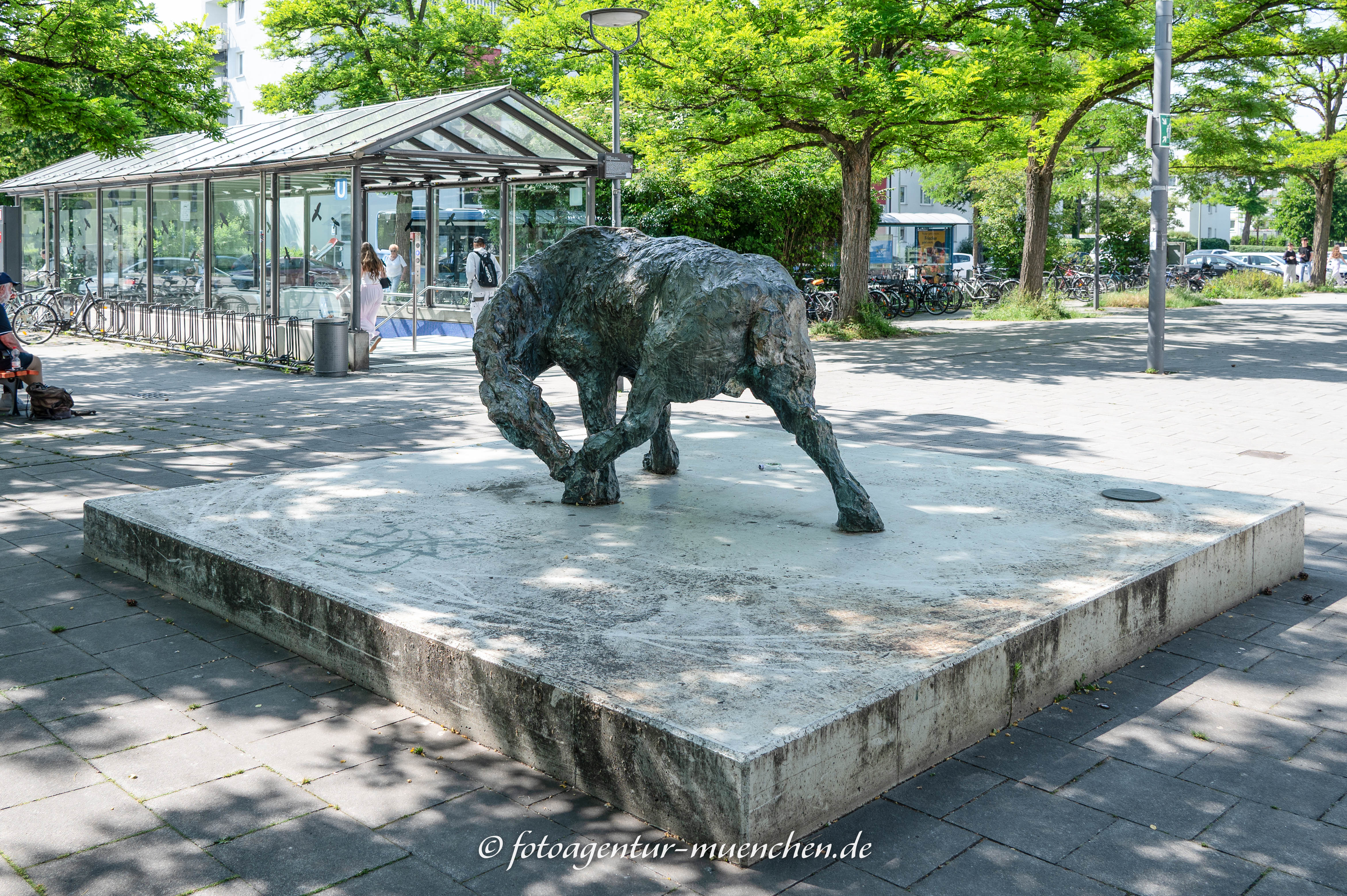 Pferd, sich beißend 