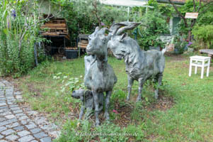 Ziegenherde – Foto aus München