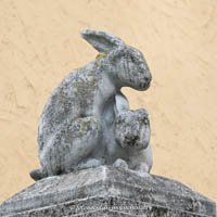 Hasen und Affen – Foto aus München