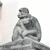 Hasen und Affen – Foto aus München
