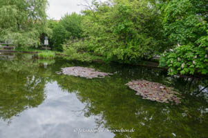 Sollner Weiher – Foto aus München