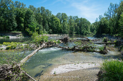  – Isar - Neue Ufer