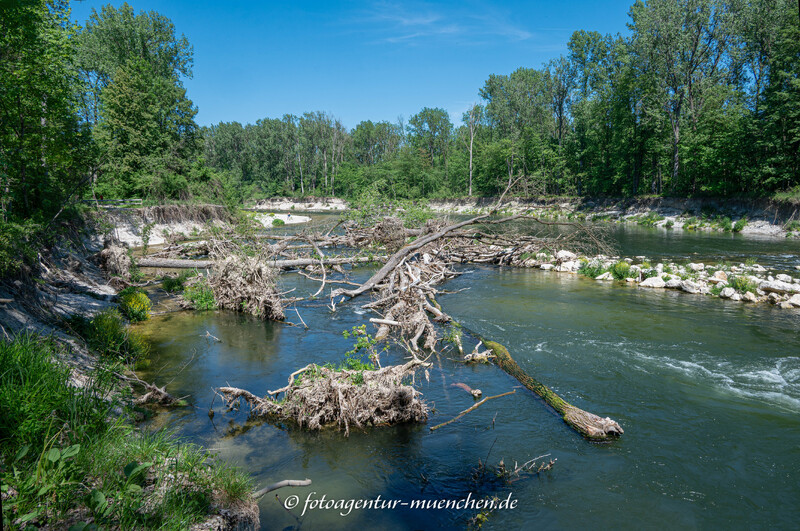 Isar nach Hochwasser