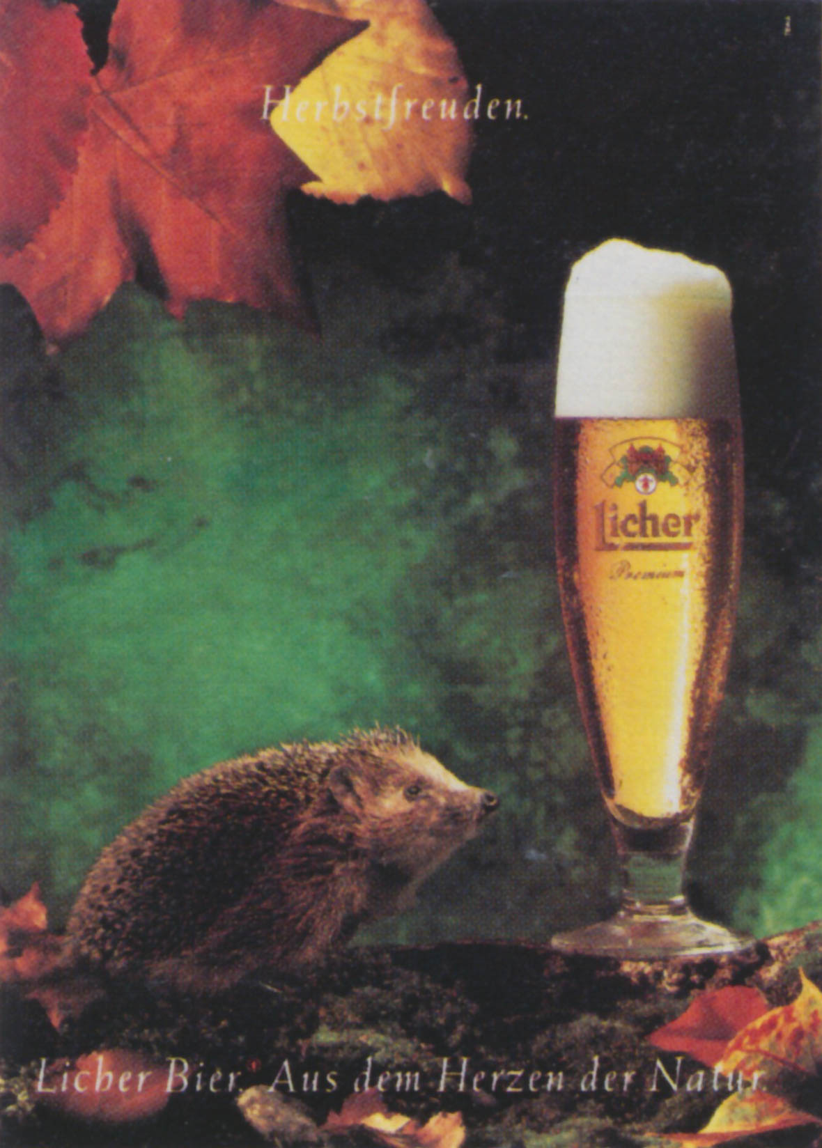 Herbstfreuden. Lieber Bier. Aus dem Herzen der Natur
