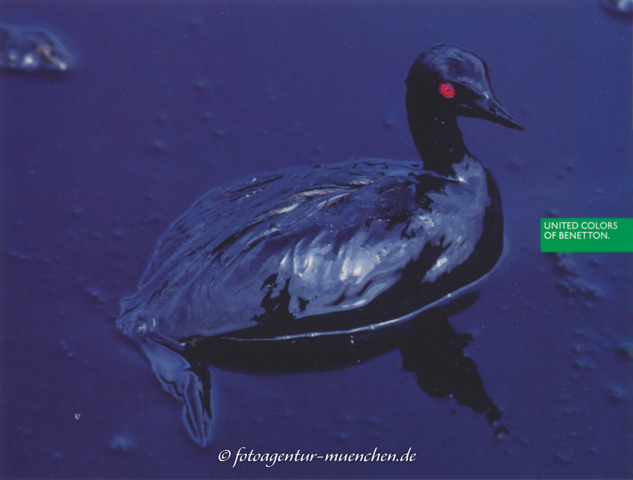 UNITED COLORS OF BENETTON