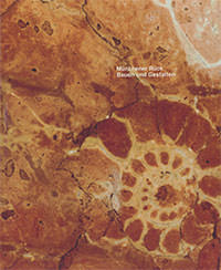 München Buch Münchner Rück