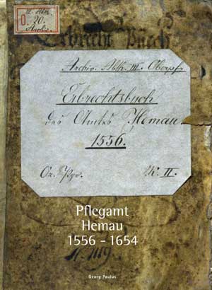 Kein Buchcover vorhanden: Pflegamt Hemau 1556–1654 von 
