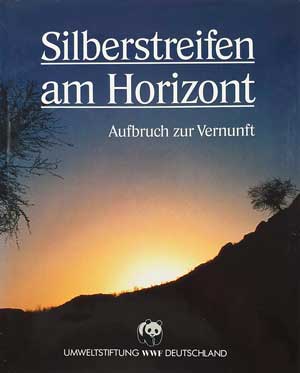 Silberstreifen am Horizont