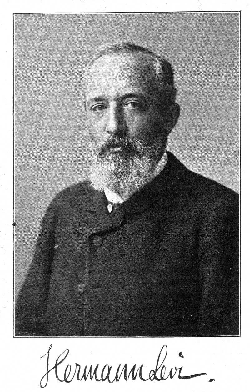 Levi Hermann 